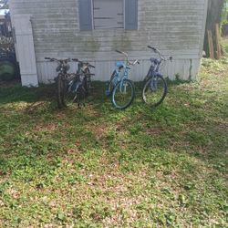 5 Bikes 