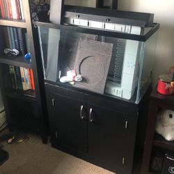 Giant Fish Tank with Stand
