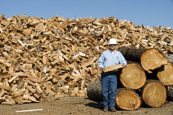 Seasoned Oak Firewood