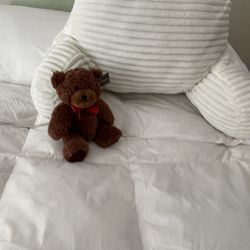 Brown Small Teddy Bear - Preloved $3