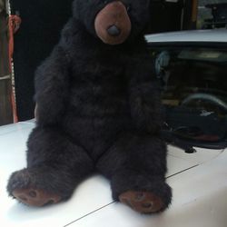 Stuffed Bears 