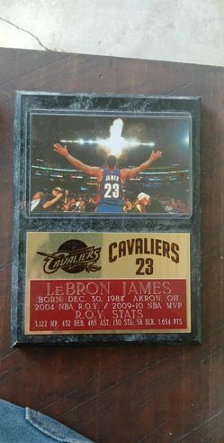 LeBron James Plaque.