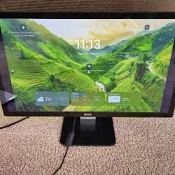 Dell 24" LED Monitor