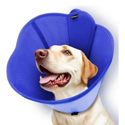 Dog cone collar