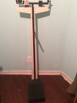 Scale