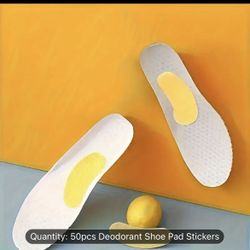 100 Pcs Shoe Deodorizer, 