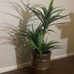 Fake Plant w Pot Holder