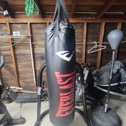 Everlast 100lb Punching Bag With Stand