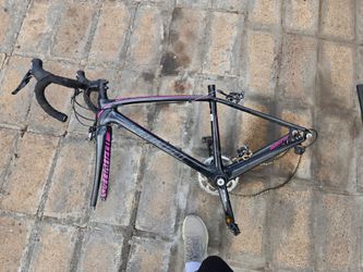 Specialized Amira Road Bike Frame