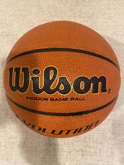 Wilson Evolution Indoor Basketball