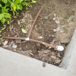 Irrigation For Plants
