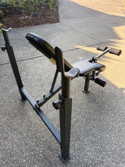 Olympic bench