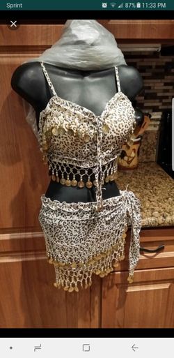 Belly dancing outfit