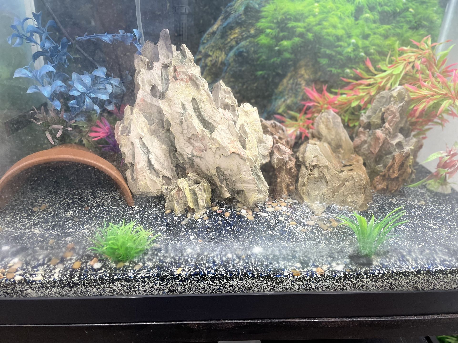 Fish Tank