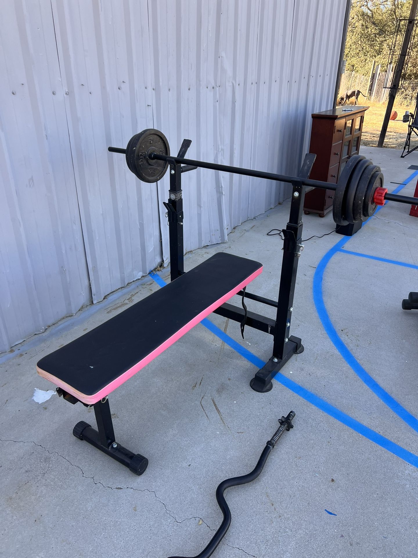 Bench Press/weights/ Ez Bar