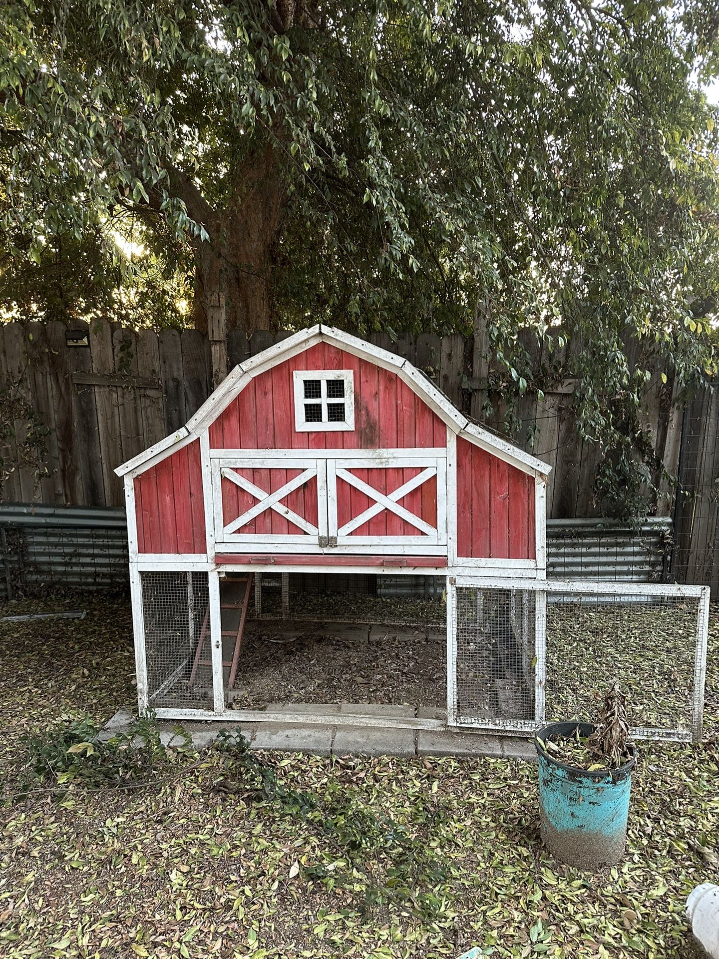 Chicken Coop