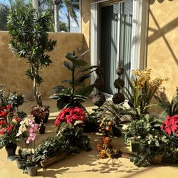 Variety Silk Plants-Trees Must Take ALL 