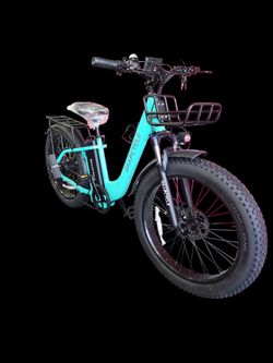 Brand new Ebike