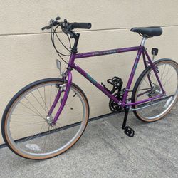 Fuji 26" 21-Speed City/Commuter/Road Hybrid - Near NEW! -Very Light 17" Frame - Tuned! (MSRP $400)
