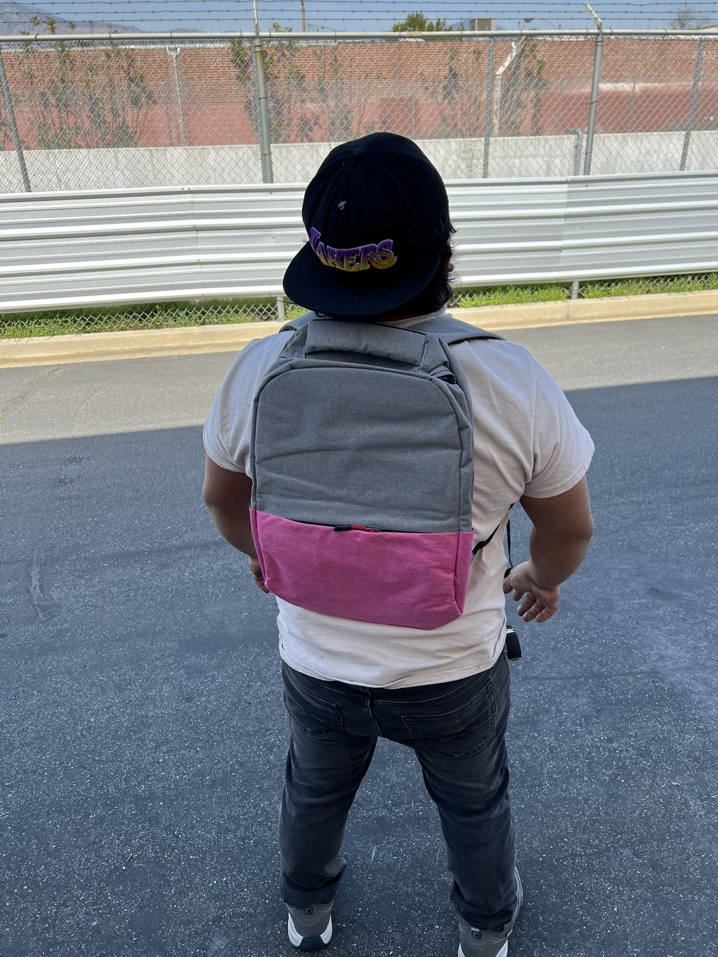 Pink and Gray Backpack
