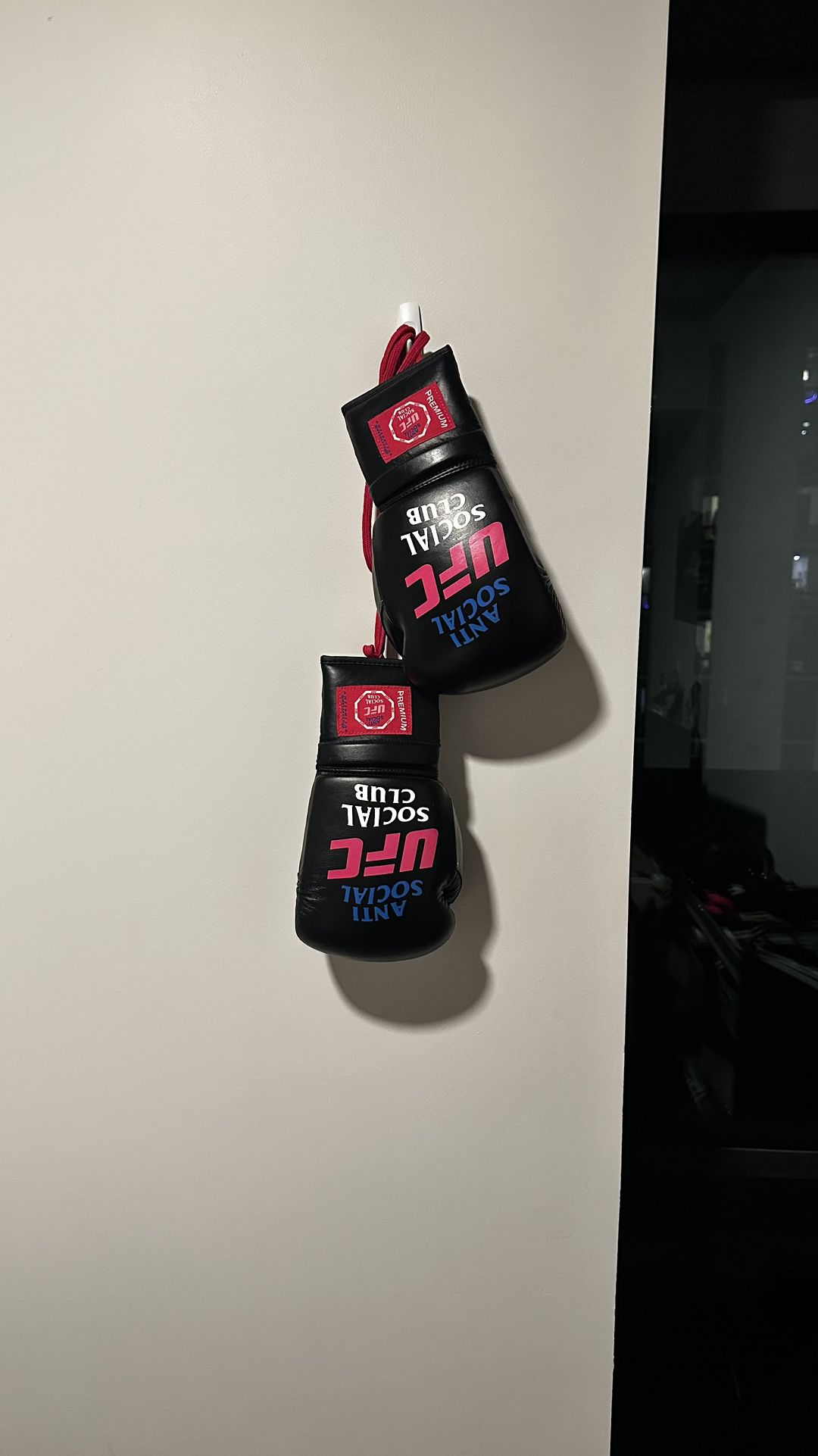 Anti-Social Social Club X UFC boxing gloves 