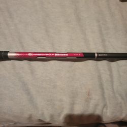 Taylor Made R11-S Shaft RIP Phenom