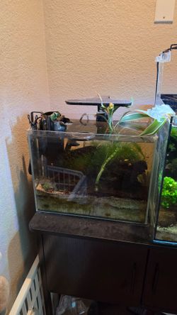 Two fish tanks with stand