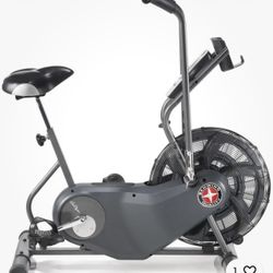 Schwinn Air Dyne Bike Serious