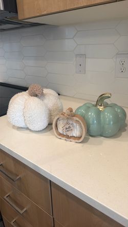 Fall Pumpkin Decor Set of 3