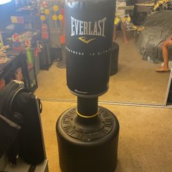 Everlast Punching Bag