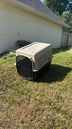 Dog Kennel Cage Crate Animal