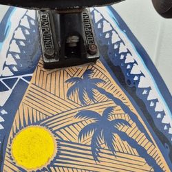 Skateboard Cruiser Tony Hawk