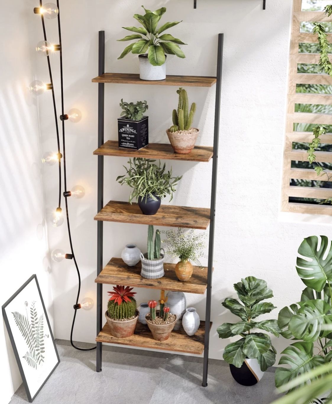 Unopened Shelf
