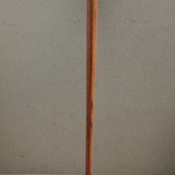 Walking Cane