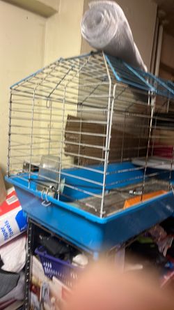 Guinea pig or rabbit cage