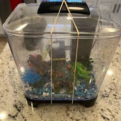 FISH TANK BETTA TANK WITH LIGHT HEATER LID FILTER ROCKS LIKE NEW