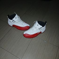 Nike Jordans Retre 12  