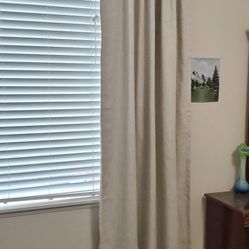 Off White Polyester Ivory Curtains 