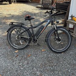 Rad E Bike (radrover)needs New Battery 