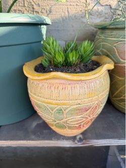 Plant