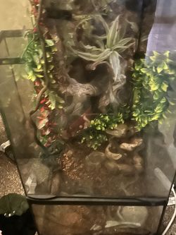 PandaLaurium Reptile Tank
