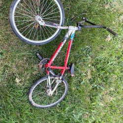 Red Line ProLine Junior Racing Bike