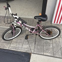Kids Bike 20”