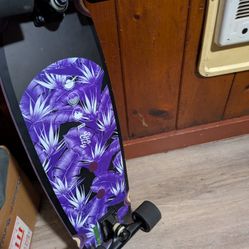 Longboard 