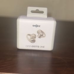 Shokz OpenDots One (color: Grey)