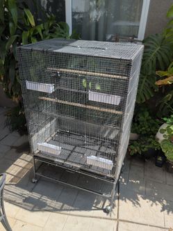 XL Bird Cage/Jaula