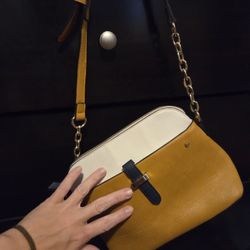 Navy And Gold Purse