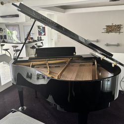 Player Piano 