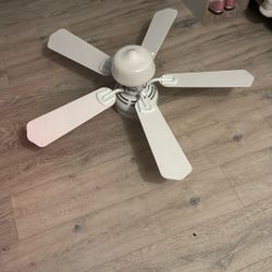 Ceiling Fan 