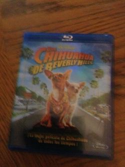 Blue ray chihuahua de Beverly Hills